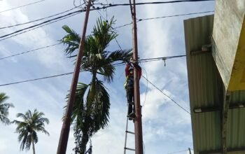 Pastikan Konektivitas Tetap Stabil, PLN Icon Plus Lakukan Perapian Kabel Fiber Optic di Talawi Sawahlunto