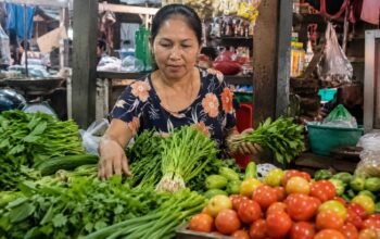 Panen Raya Tak Lagi Membawa Berkah, Harga Hortikultura Bondowoso Terus Merosot