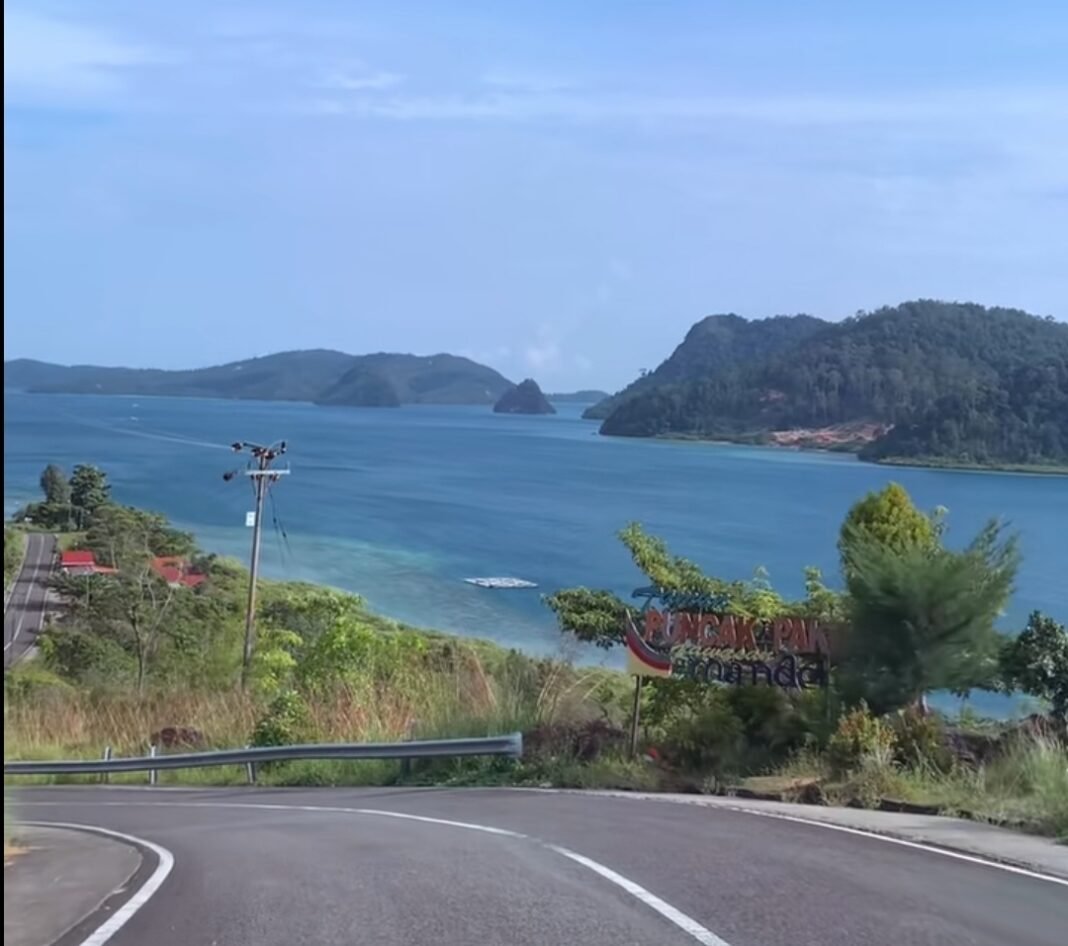 Puncak paku