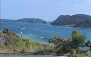 Puncak paku