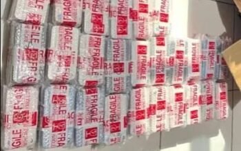 652 iPhone Bekas Ilegal Disita di Pelabuhan Bengkalis, Modus Barang Tak Bertuan Terbongkar