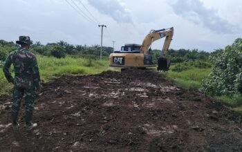 Masuk Sektor Critical, Satgas Tmmd Ke-129 Kodim 0313/Kpr Timbun Jalan Berlubang 230 Meter Di Pangkalan Terap