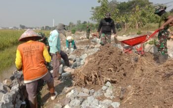 Pembangunan Talud dalam Rangka TMMD ke-129 Kodim 0726/Sukoharjo di Kec. Grogol