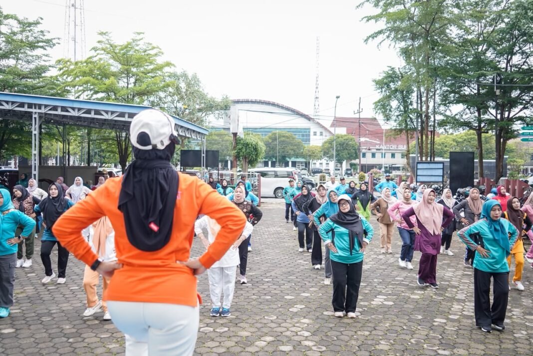 Musi Banyuasin