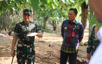 Dandim 0412/LU Letkol Inf Roni Faturohman Dampingi Danrem 043/Gatam Tinjau TMMD ke-129 di Lampung Utara
