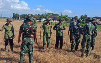 Menyemai Harapan Saat Ketulusan TNI dan Warga Menyatu di Tanah Ladang
