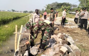 Bangun Talud, Satgas TMMD REG 129 Kodim 0726/Sukoharjo Jaga Lahan Pertanian Parangjoro