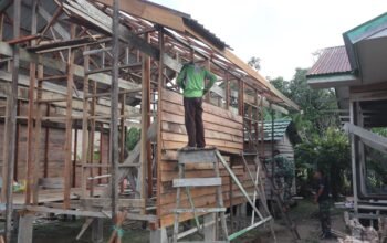Setengah Jalan Menuju Hunian Layak: RTLH Ibu Timah di Desa Pangkalan Terap Capai Progres 50 Persen
