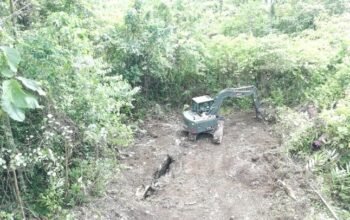 Program Unggulan TNI AD Berjalan, Satgas TMMD Ke-129 Buka Lahan Ketahanan Pangan di Kampung Sesor