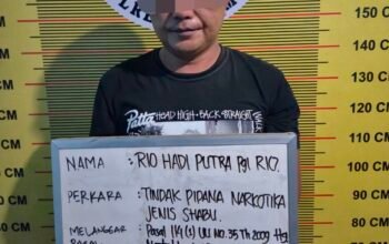 Polres Pasaman Gagalkan Dugaan Peredaran Sabu, Seorang Pria Beserta Barang Bukti Diamankan