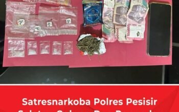 Satresnarkoba Polres Pesisir Selatan Gulung Dua Pengedar Narkoba di Salido, Sita Sabu dan Ganja Kering