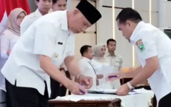 Kabupaten Solok Tetapkan 21.067 Hektare LP2B, Perkuat Perlindungan Lahan Pertanian