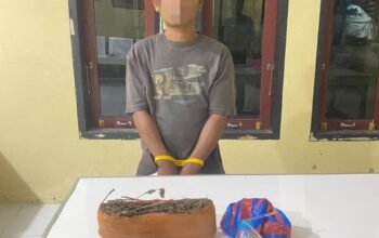 Pengedar Ganja dan Sabu Diciduk di Lubuk Alung, Polisi Amankan Sejumlah Barang Bukti