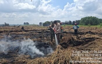 Hari Keempat Penanganan Karhutla, Tim Gabungan Fokus Laksanakan Pendinginan di Kerumutan