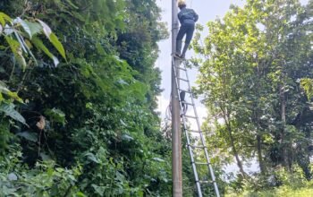 Jaga Stabilitas Layanan Telekomunikasi, PLN Icon Plus Lakukan Pemeliharaan Jaringan Fiber Optik di Tanjung Sani