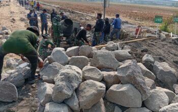 Tmmd Reg Ke-129 Kodim 0726/Sukoharjo Pacu Percepatan Target Sasaran Di Desa Parangjoro