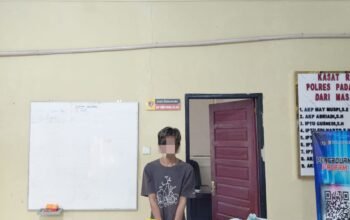 Polres Padang Pariaman Bongkar Peredaran Ganja, 61 Paket Besar Disita
