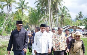 Bupati Solok Dampingi KKP Salurkan 120 Ribu Benih Ikan untuk Pulihkan Budidaya Pascabencana di Koto Sani