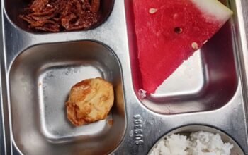 Menu MBG Balita Diduga Berisi Ikan Asin Sambal, Warga Desak BGN Evaluasi SPPG Ulususua