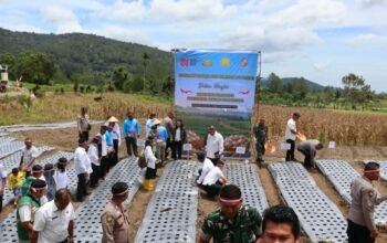 Polresta Deli Serdang Dukung Swasembada Pangan Lewat Penanaman Bawang Putih Serentak
