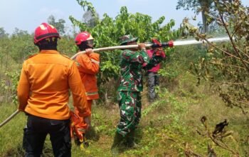 Kesekian Kalinya Karhutla Terjadi di Muba, BPBD Selalu Siaga Padamkan Api