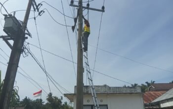 Jaga Kualitas Layanan Telekomunikasi, PLN Icon Plus Lakukan Perapian Jalur Fiber Optik di Pesisir Selatan