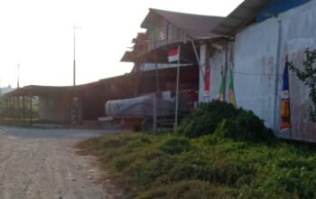 MH Bungkam! Dugaan Penampungan Kayu Pacakan di Jalan Minyak Minta Diusut
