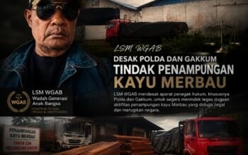 LSM WGAB Desak Polda dan Gakkum Tindak Penampungan Kayu Merbau