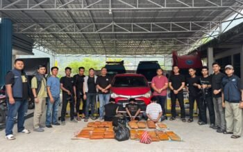 Bnnp Sumbar Gagalkan Penyelundupan 44 Kilogram Ganja Lintas Provinsi