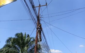 Perkuat Pengelolaan Aset Jaringan, PLN Icon Plus Lakukan Pemeliharaan Rutin di Rokan Hulu