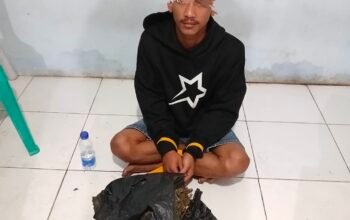 Ganja Diduga Hendak Diedarkan di Depan Sekolah, Tim Elang Timur Bergerak