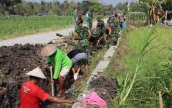 Satgas TMMD ke-130 Kodim Bantul Gencarkan Penggalian Talut untuk Perkuat Infrastruktur Desa