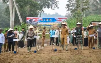 Dukung Ketahanan Pangan, Wali Kota Sawahlunto Ikuti Penanaman Jagung Hibrida di Batu Tanjung